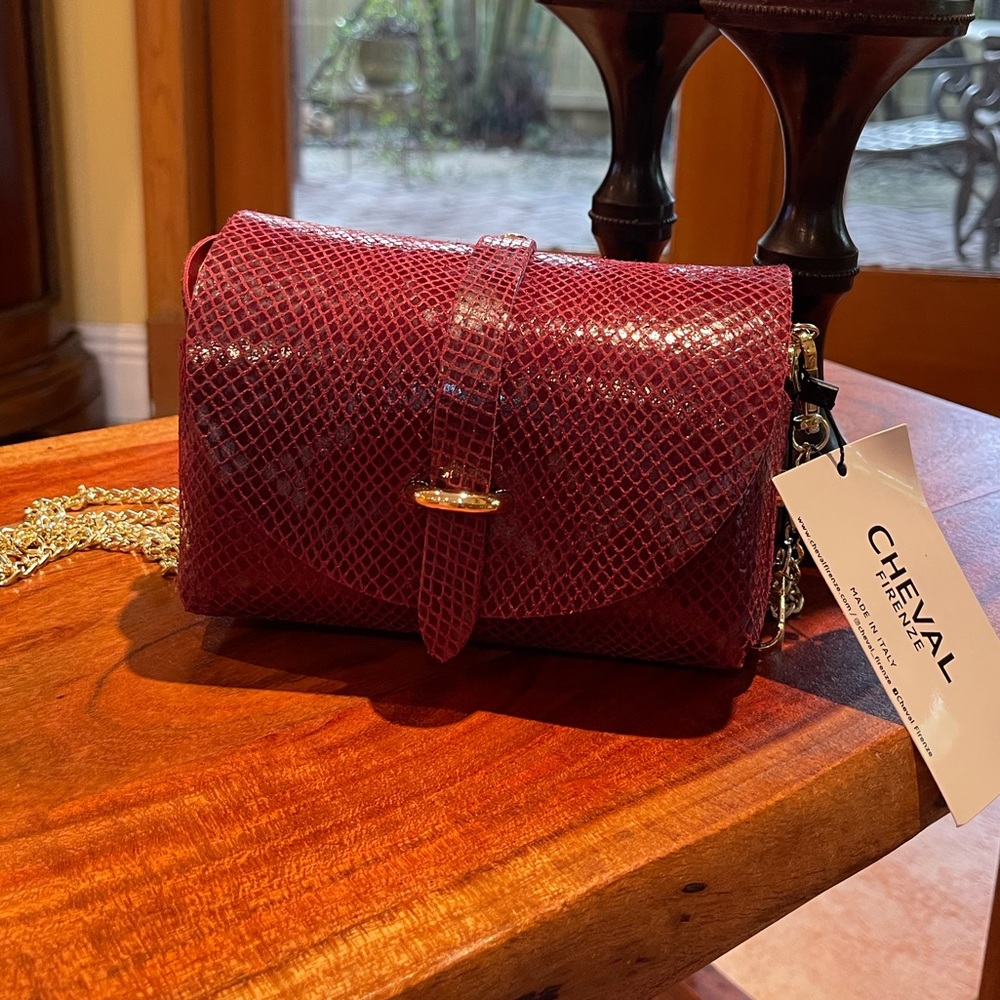 Super cute leather little red bag! Made in Italy. Crossbody or clutch